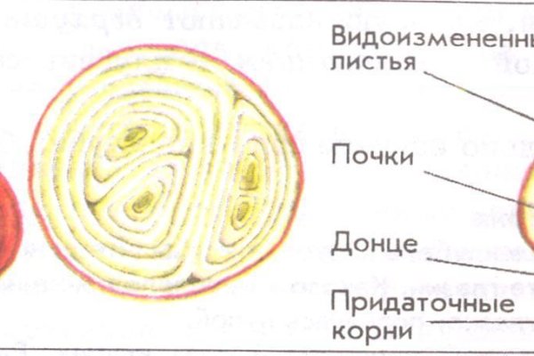 Кракен даркмаркет плейс